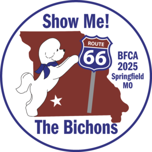 Show Me! The Bichons. BFCA 2025 Springfield, MO